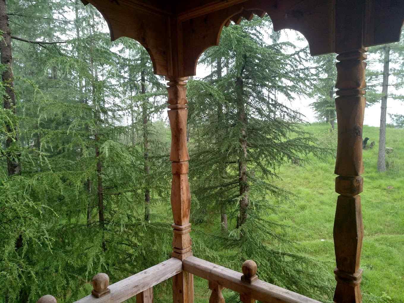 Majestic Treehouse-image-1