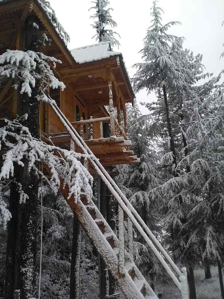 Majestic Treehouse-image-2