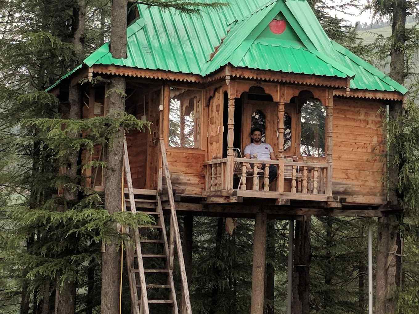 Majestic Treehouse, Shimla Himachal Pradesh | video