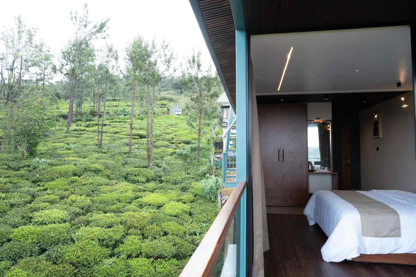 Glass House-image-2