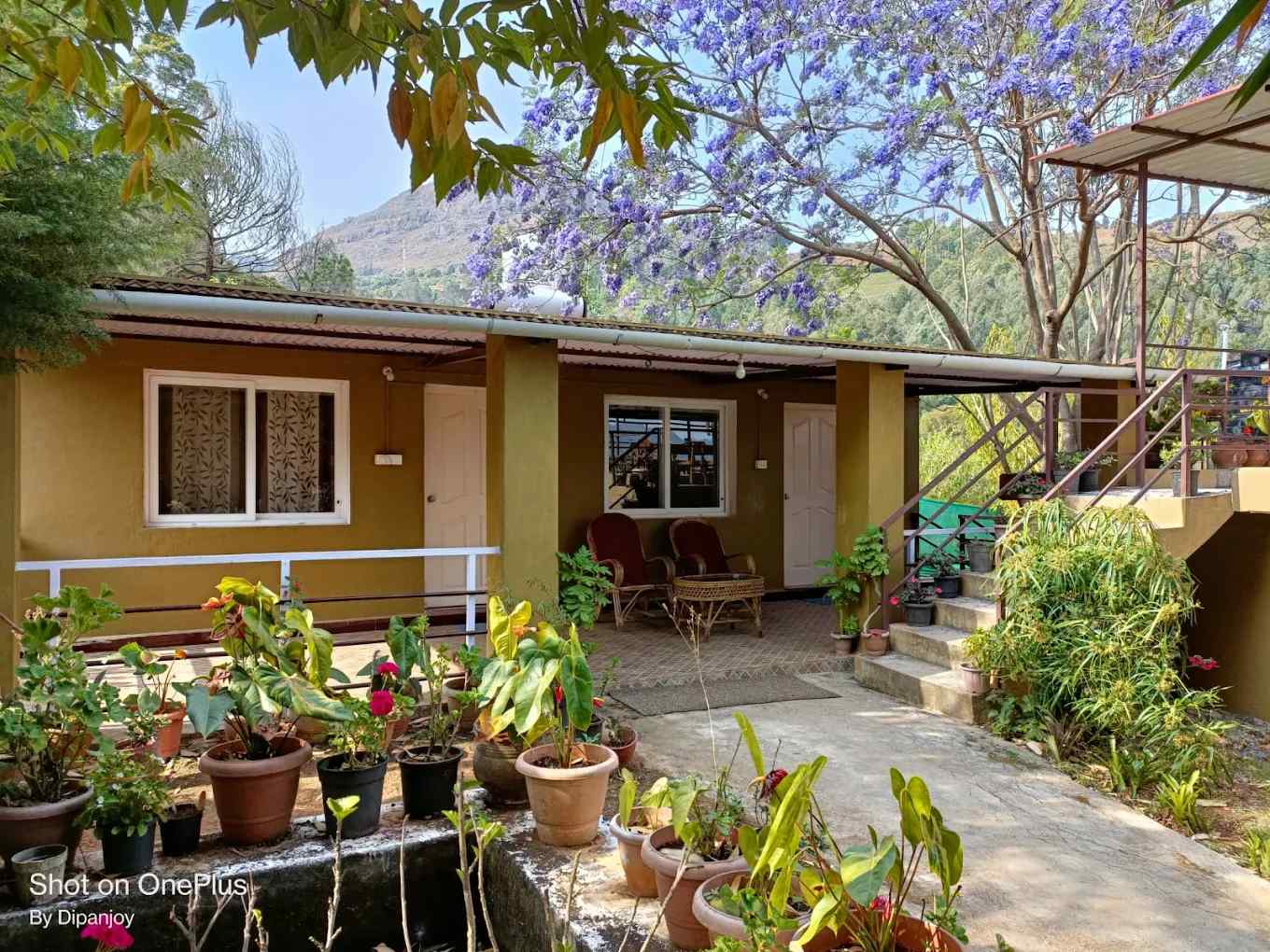 Serene Mount Cabin, Ooty Tamil Nadu | video
