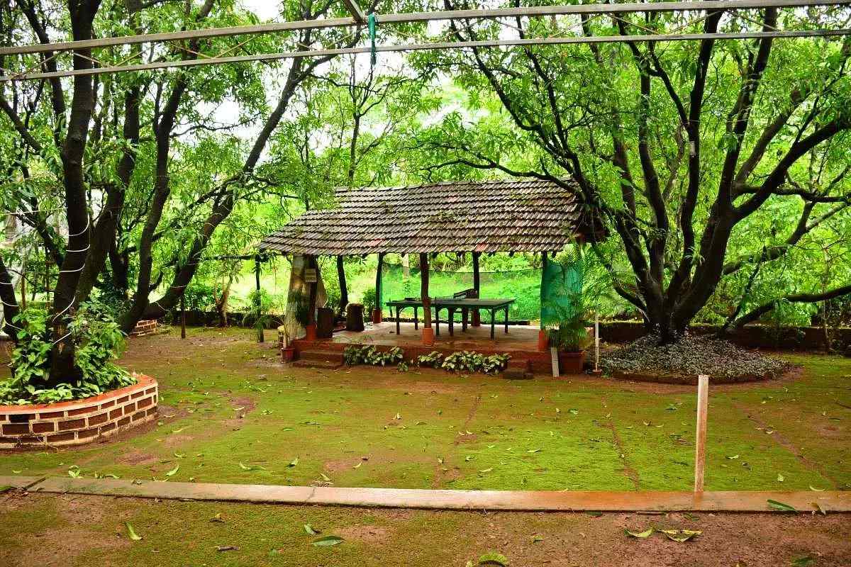 Nature Home-image-2