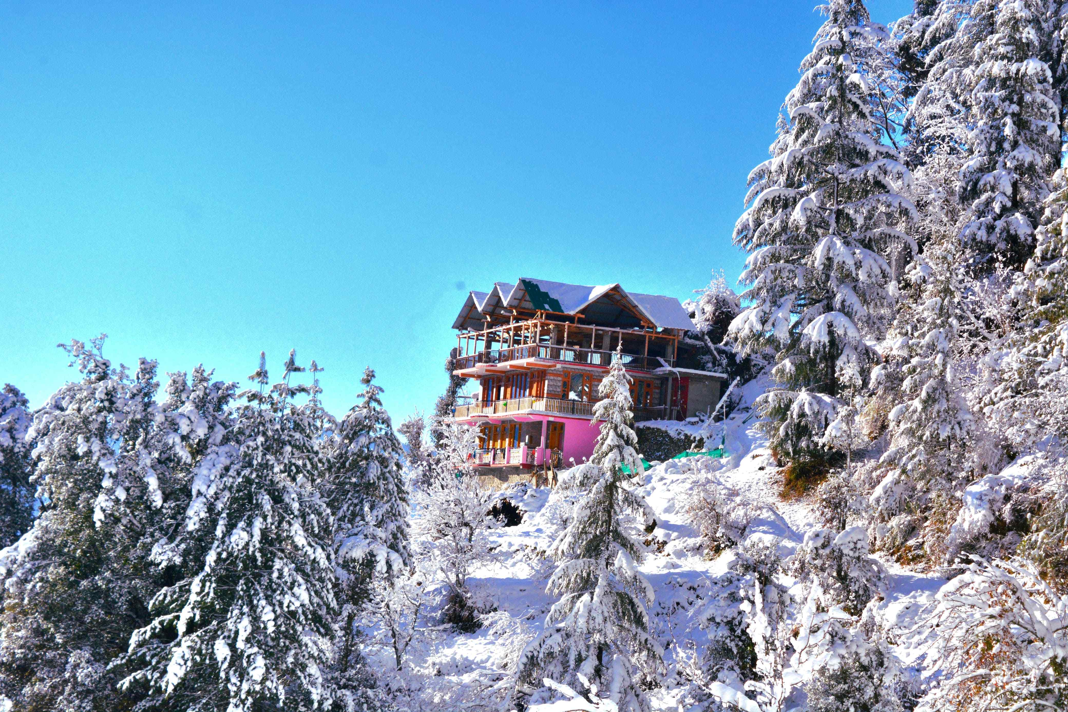 Mountain Top Homestay-image-3