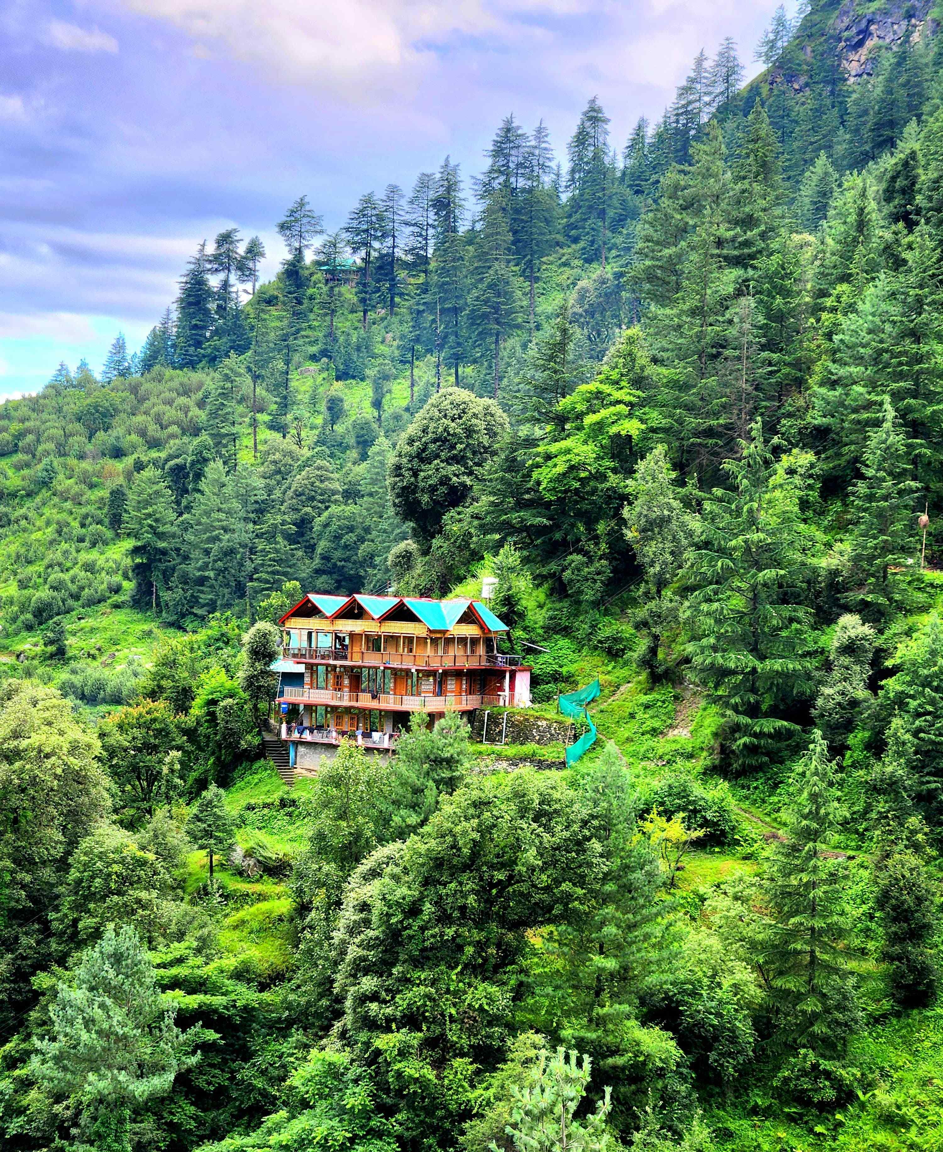 Mountain Top Homestay, Banjar Himachal Pradesh | video
