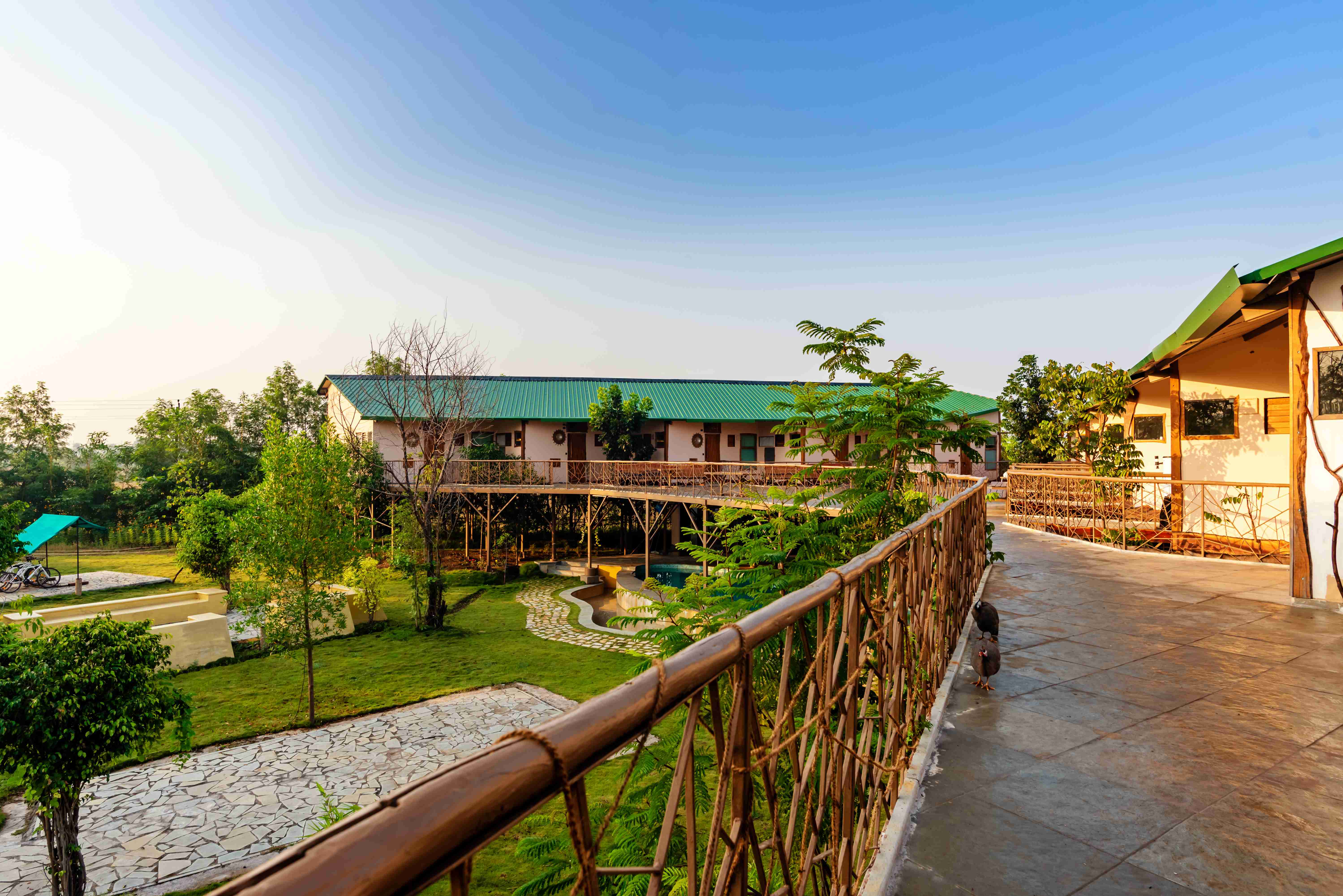 Tadoba Wild Escape-image-3