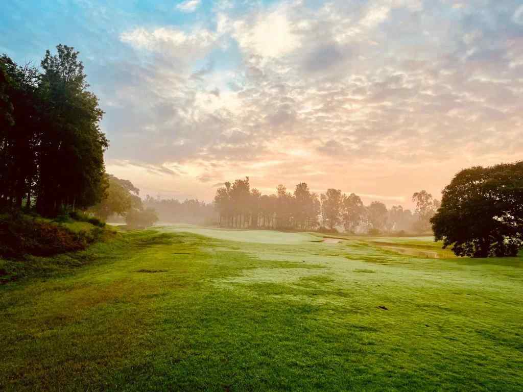 Urban Meadows-image-3