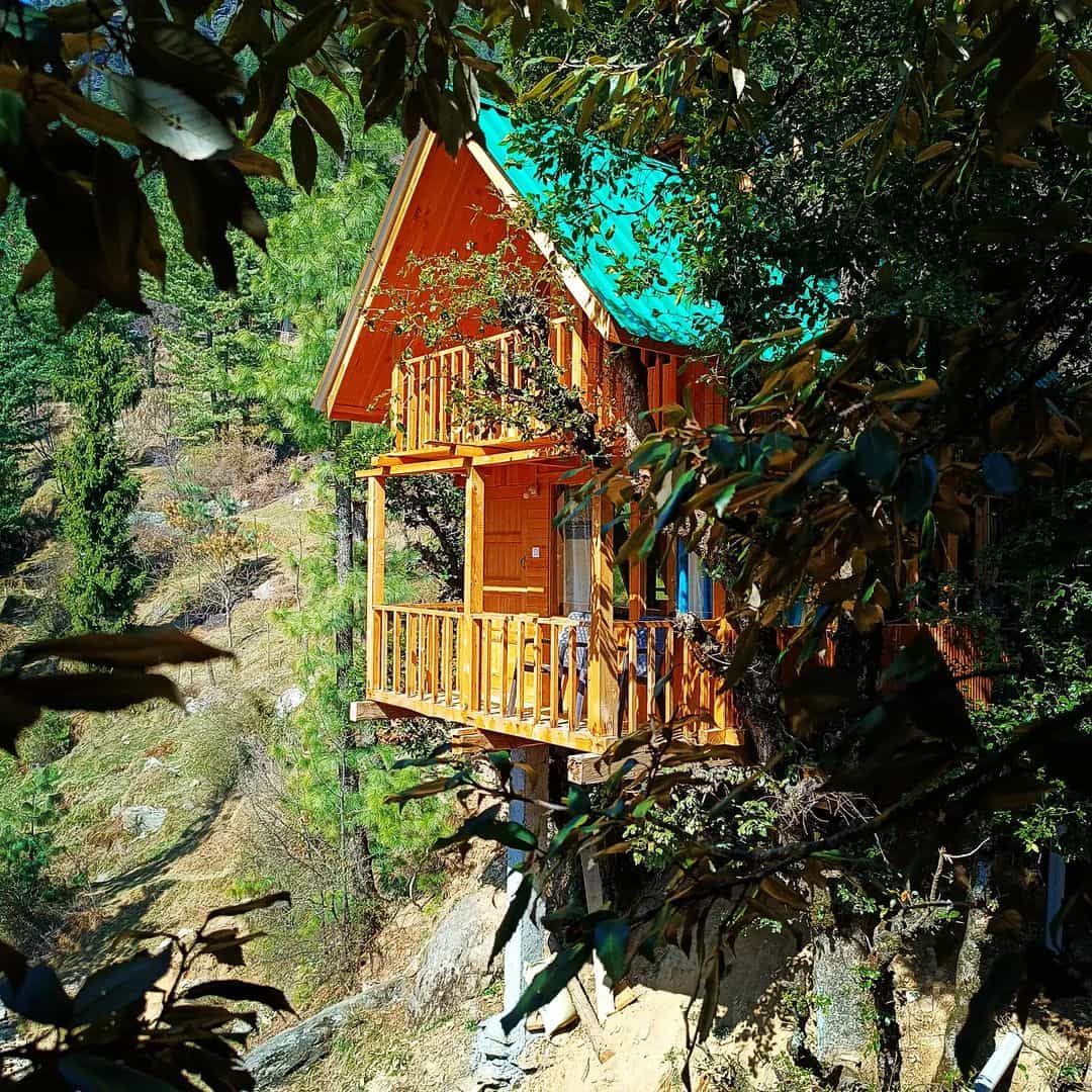 Treetop Haven-video-large