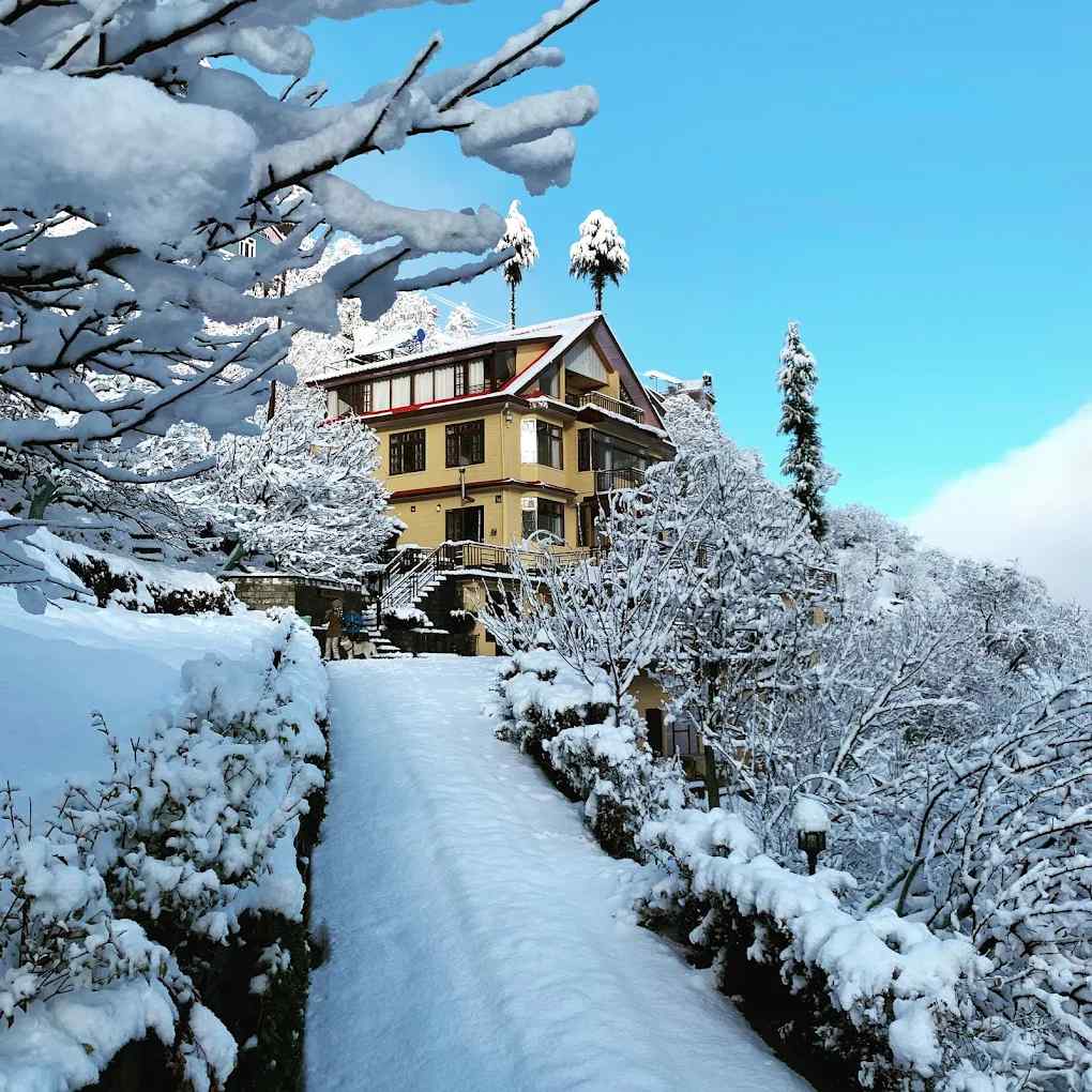 Tranquil Timber, Kotgarh Himachal Pradesh | video