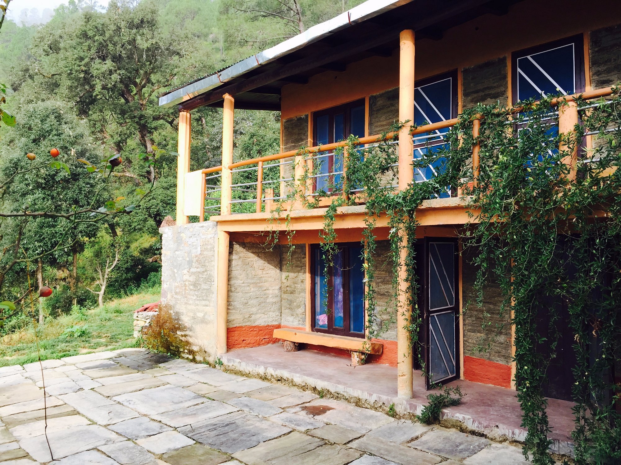 Deep In Forest Cabin-image-2