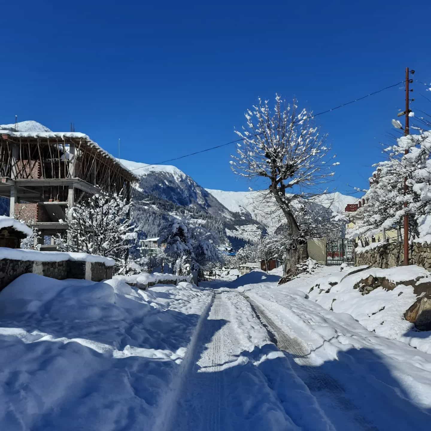 Blissful Peaks Homestay, Kaza Himachal Pradesh | video
