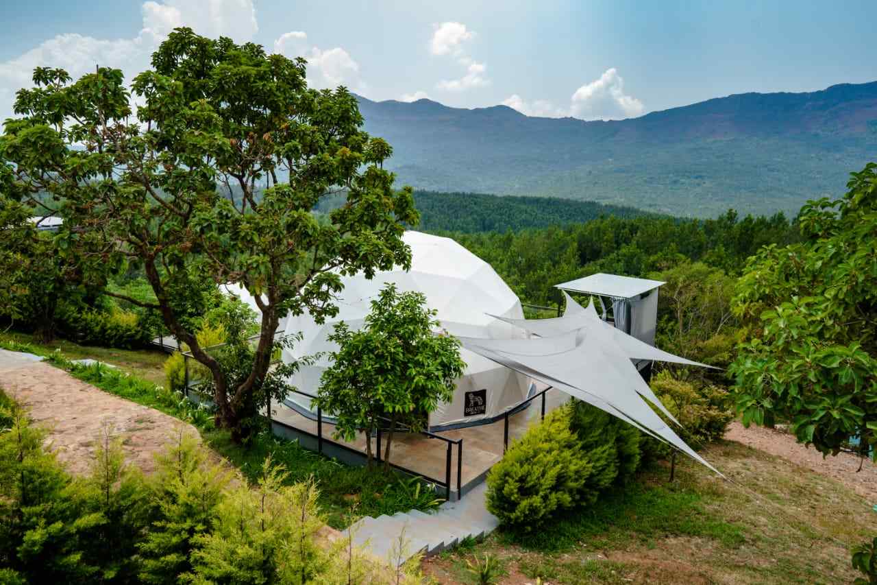 Forest Domes-image-2