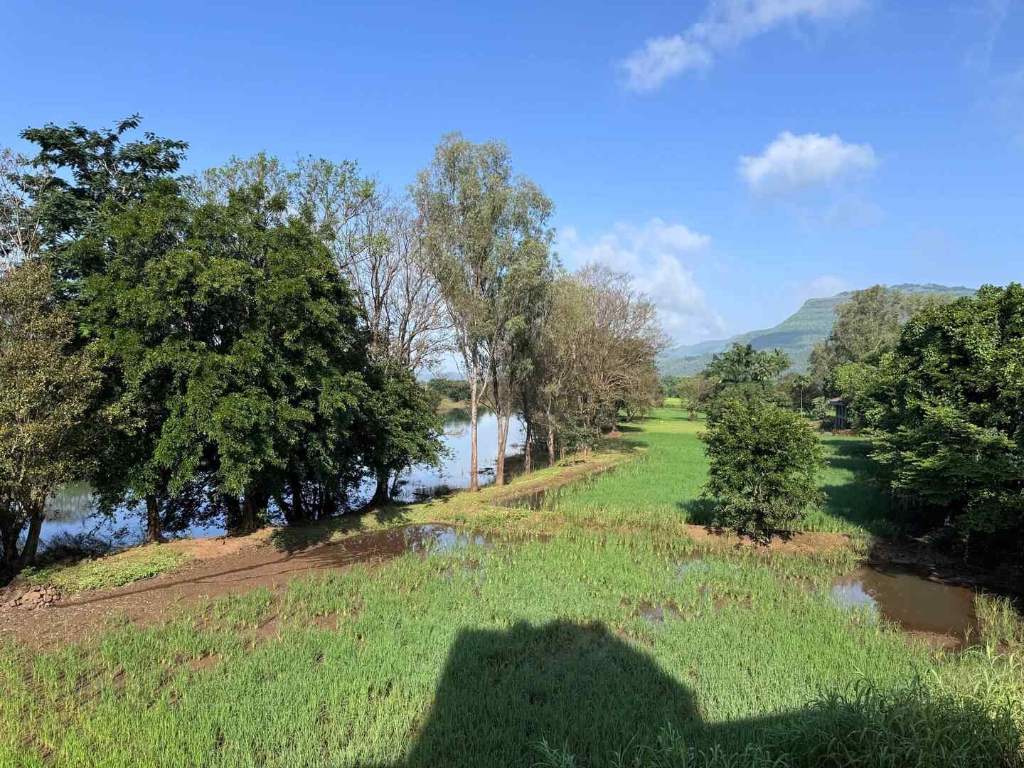 Malvan Haven-image-1