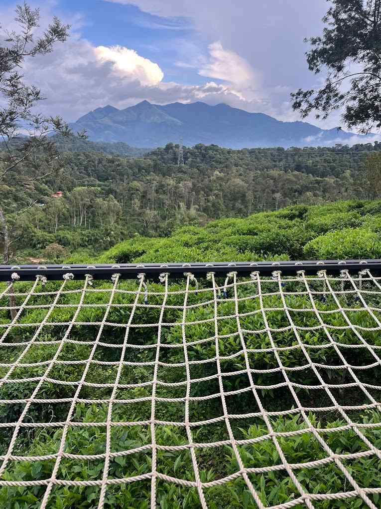 Nature Domes-image-2
