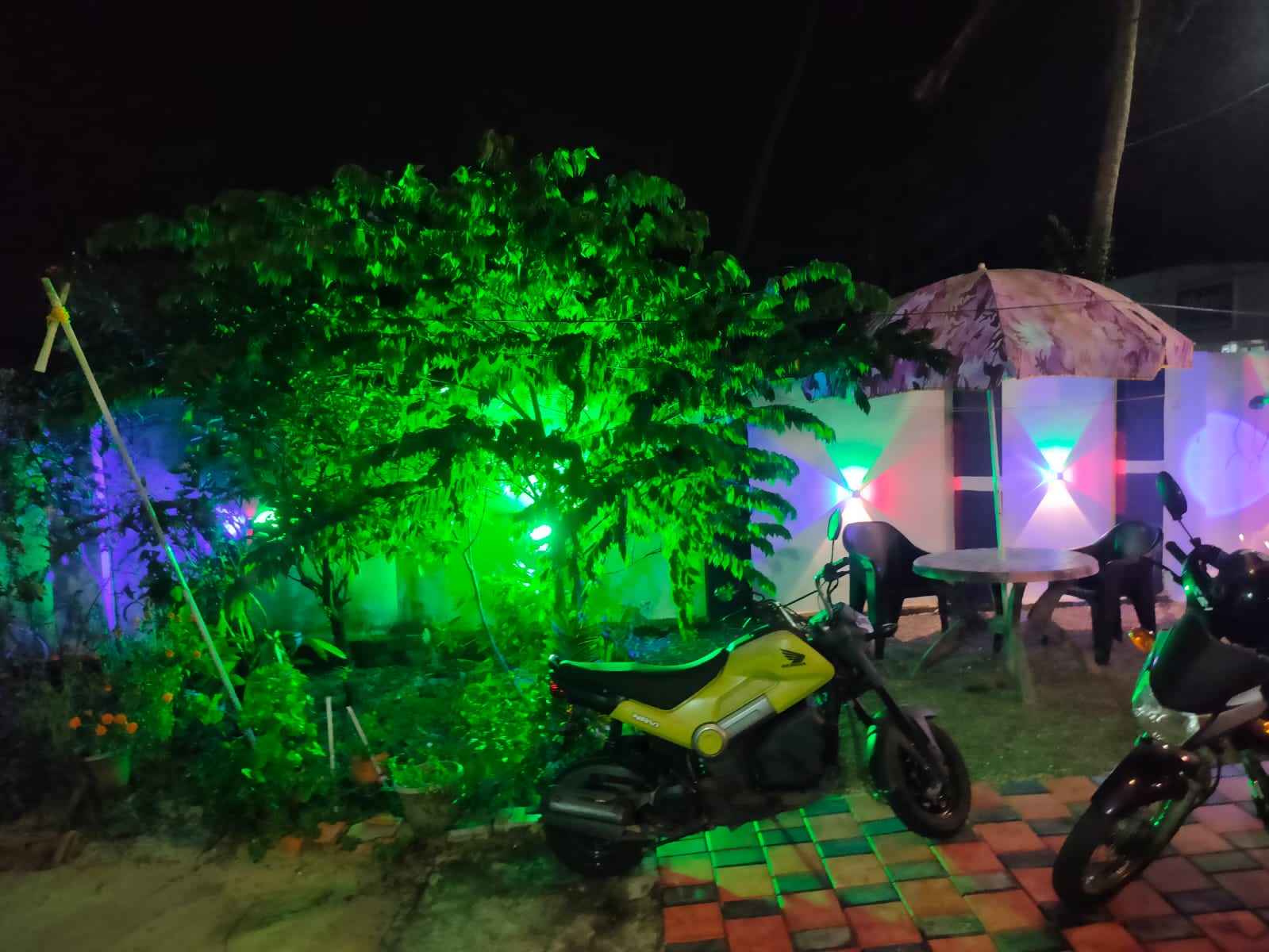Beach House-image-3