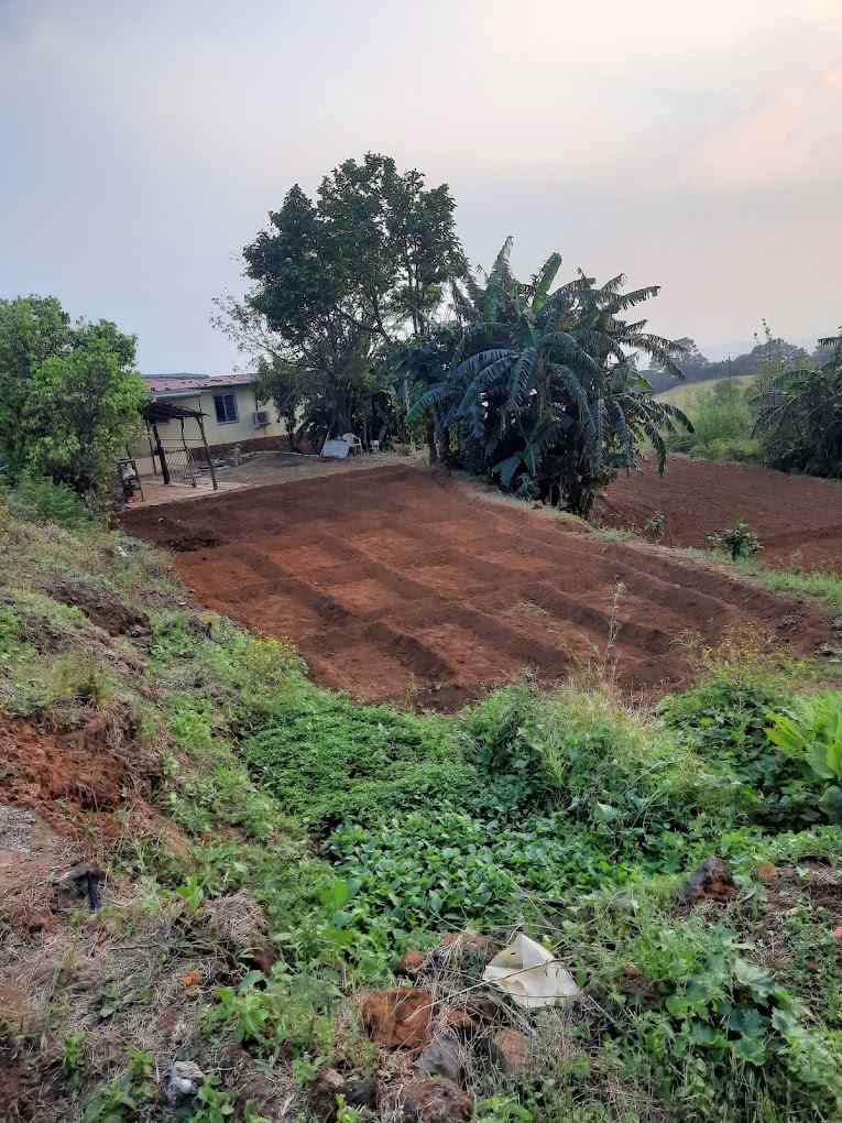 Evergreen Manor-image-2