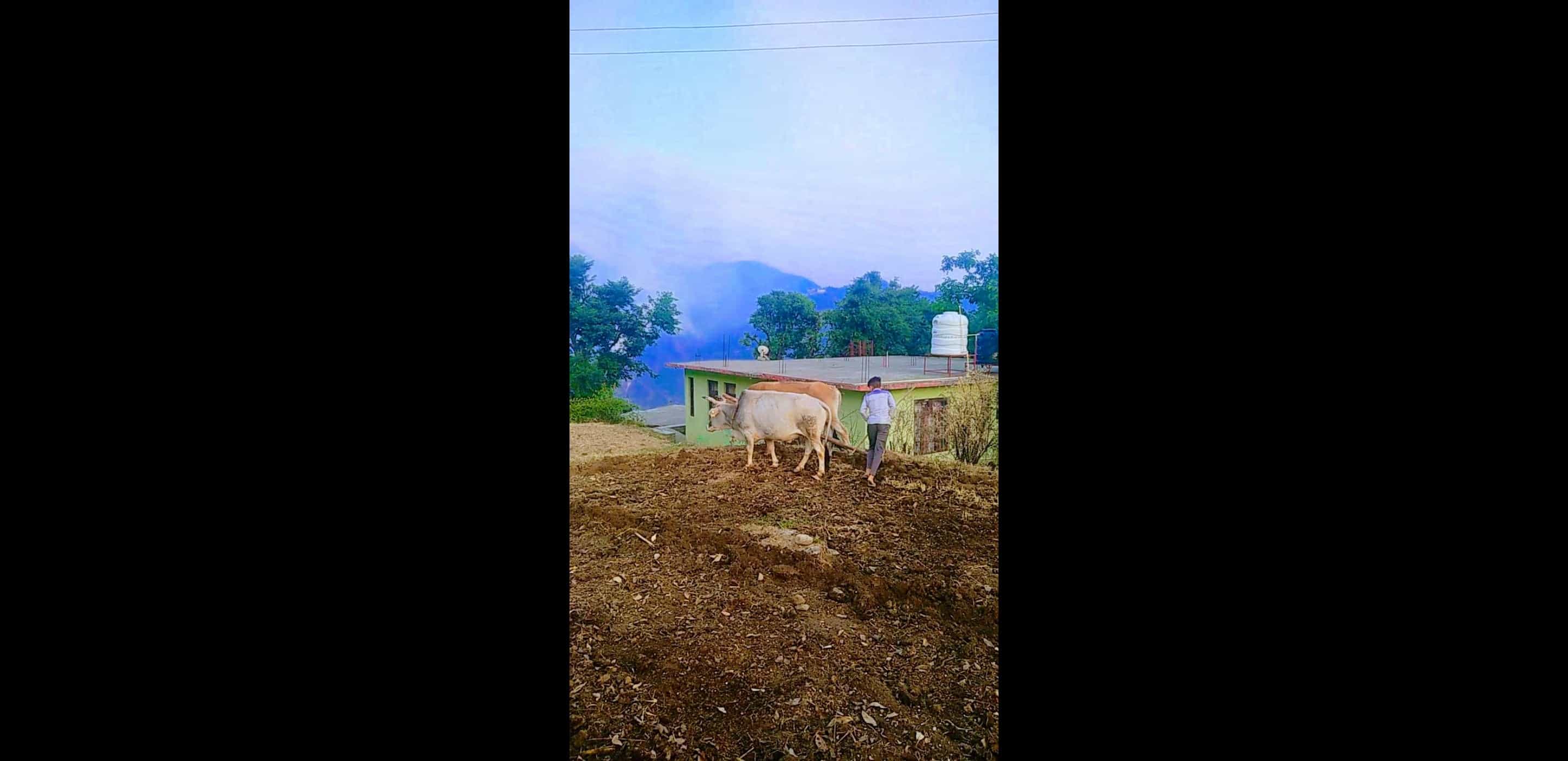 The Shepherd Villa-image-2