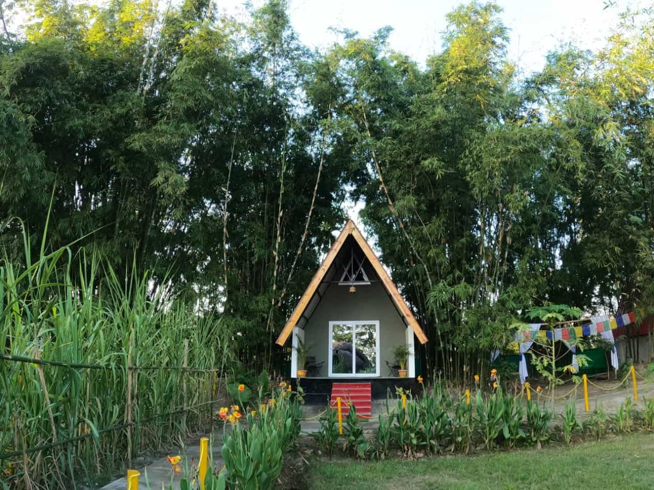 Village Wilderness Camp-image-2
