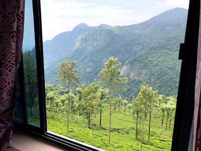 Tea Plantation Escape-image-2