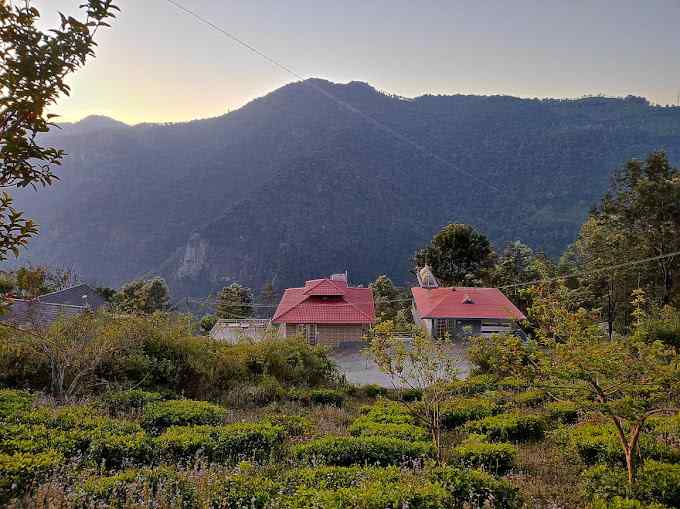 Tea Plantation Escape, Conoor Tamil Nadu | video