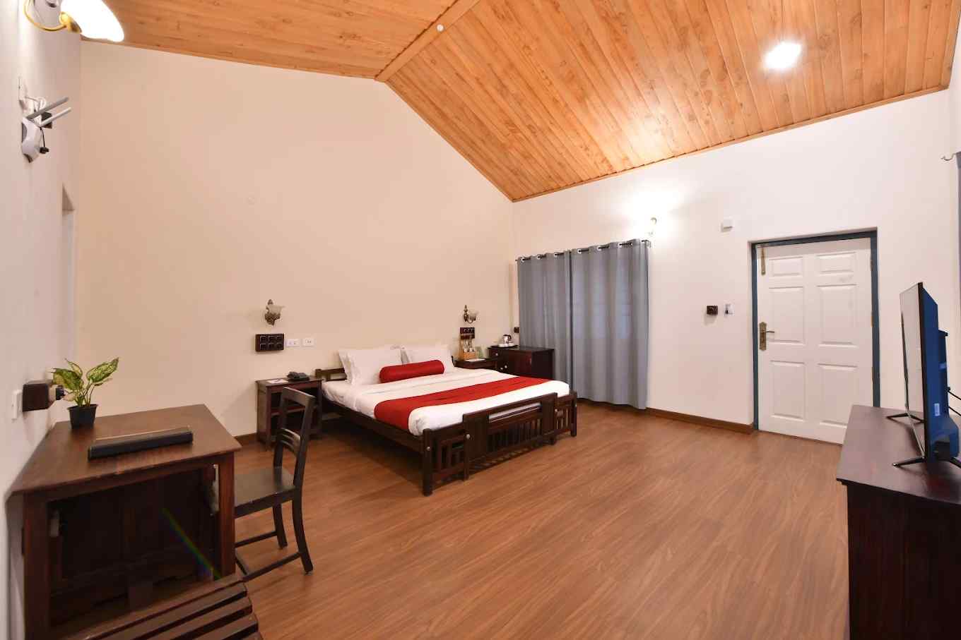 The Comfort Cove-image-3