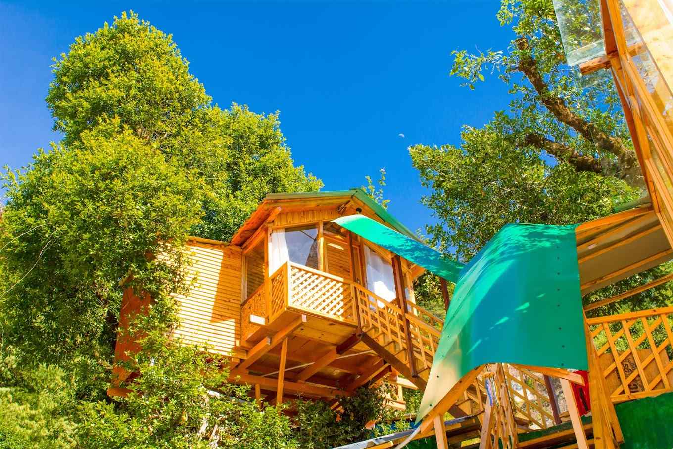 Glass Cabin-image-1