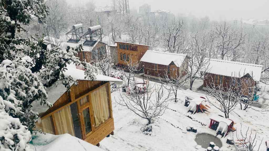 Glass Cabin-image-3