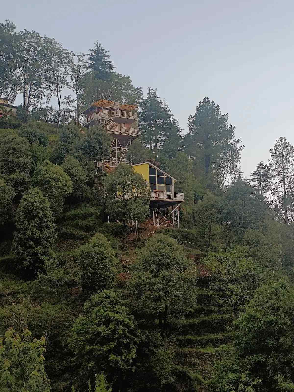 Cliff Treehouse, Ramgarh Uttarakhand | video
