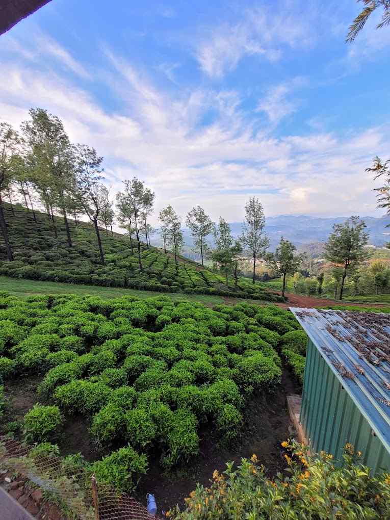Ooty Wilderness Cottage-image-1