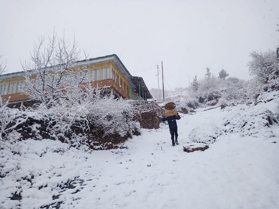 Calm Cottage-image-3
