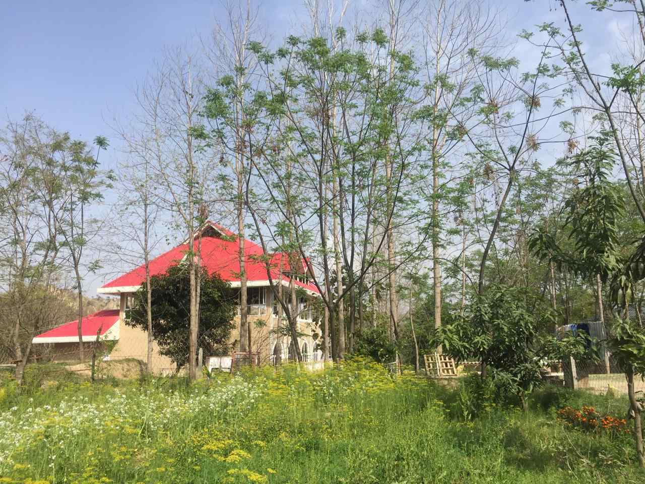 Green Haven Estate, Rupnagar Punjab | video
