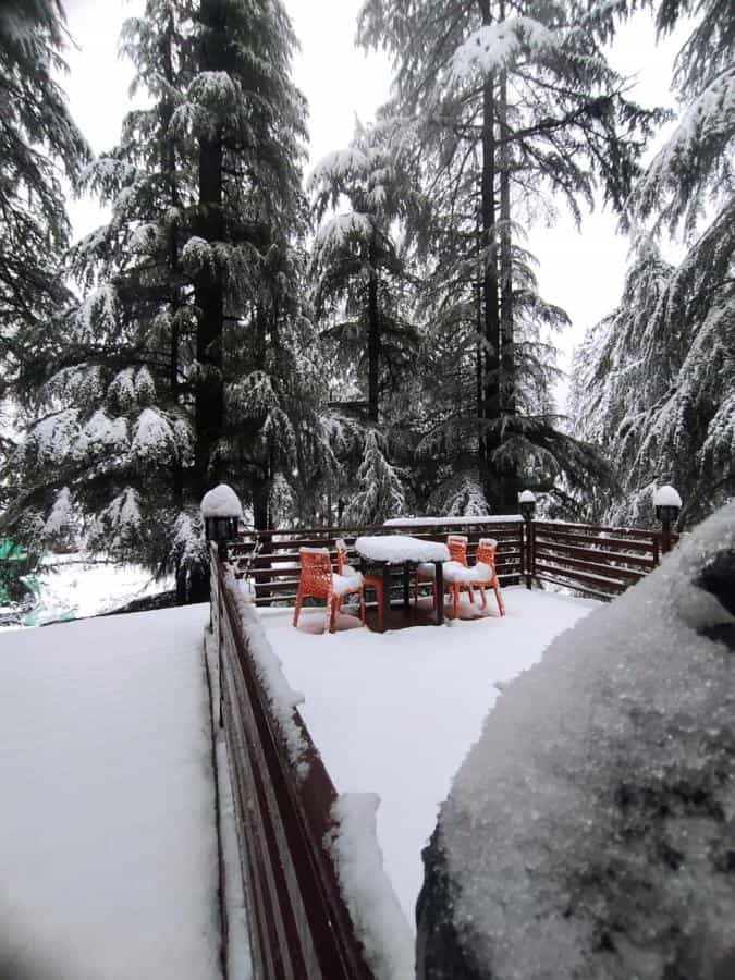Forest Edge Residence-video-large