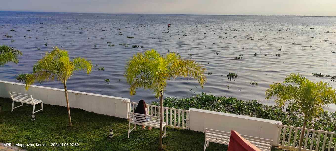 The Backwater Villa-image-1