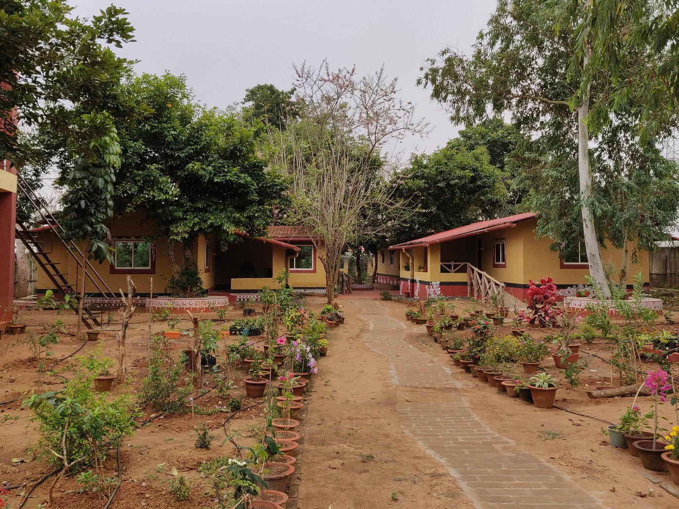 Nature Wilderness Cottage-image-1