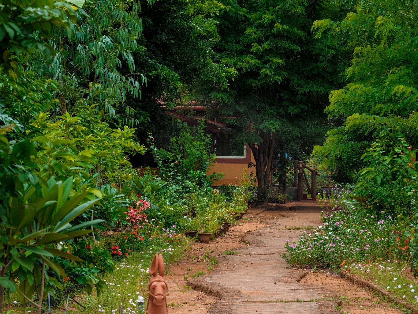 Nature Wilderness Cottage-video-large