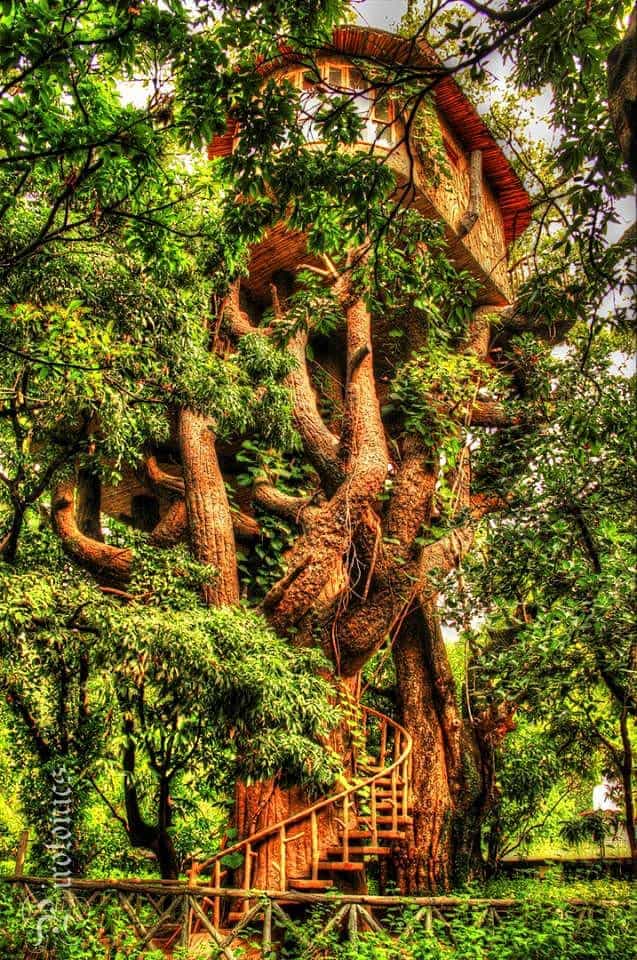Forest Haven Corbett-image-1