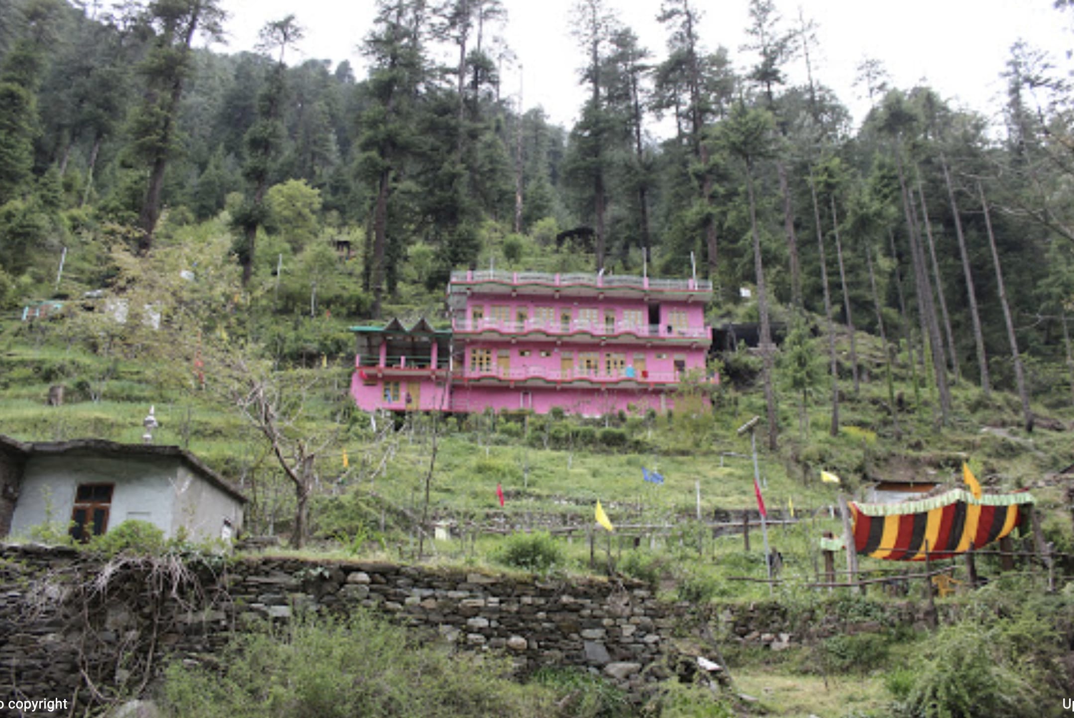 Jibhi Paradise Stay-image-1