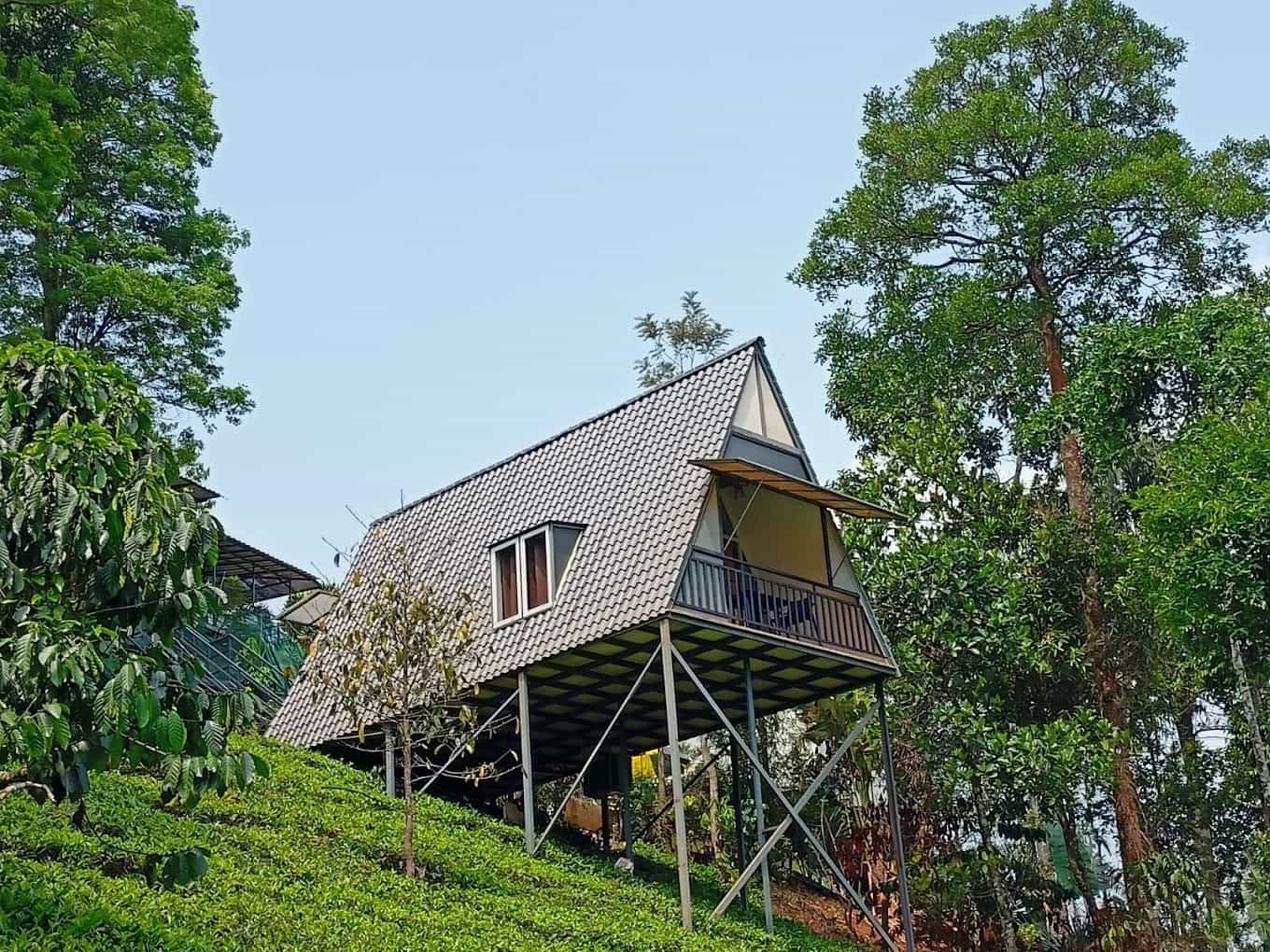 Tea Planters Cottage-image-3