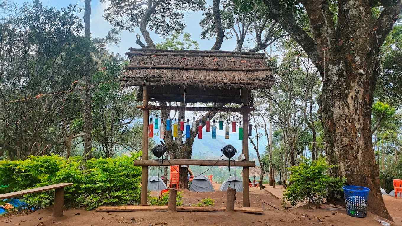 Nature Camp-image-3