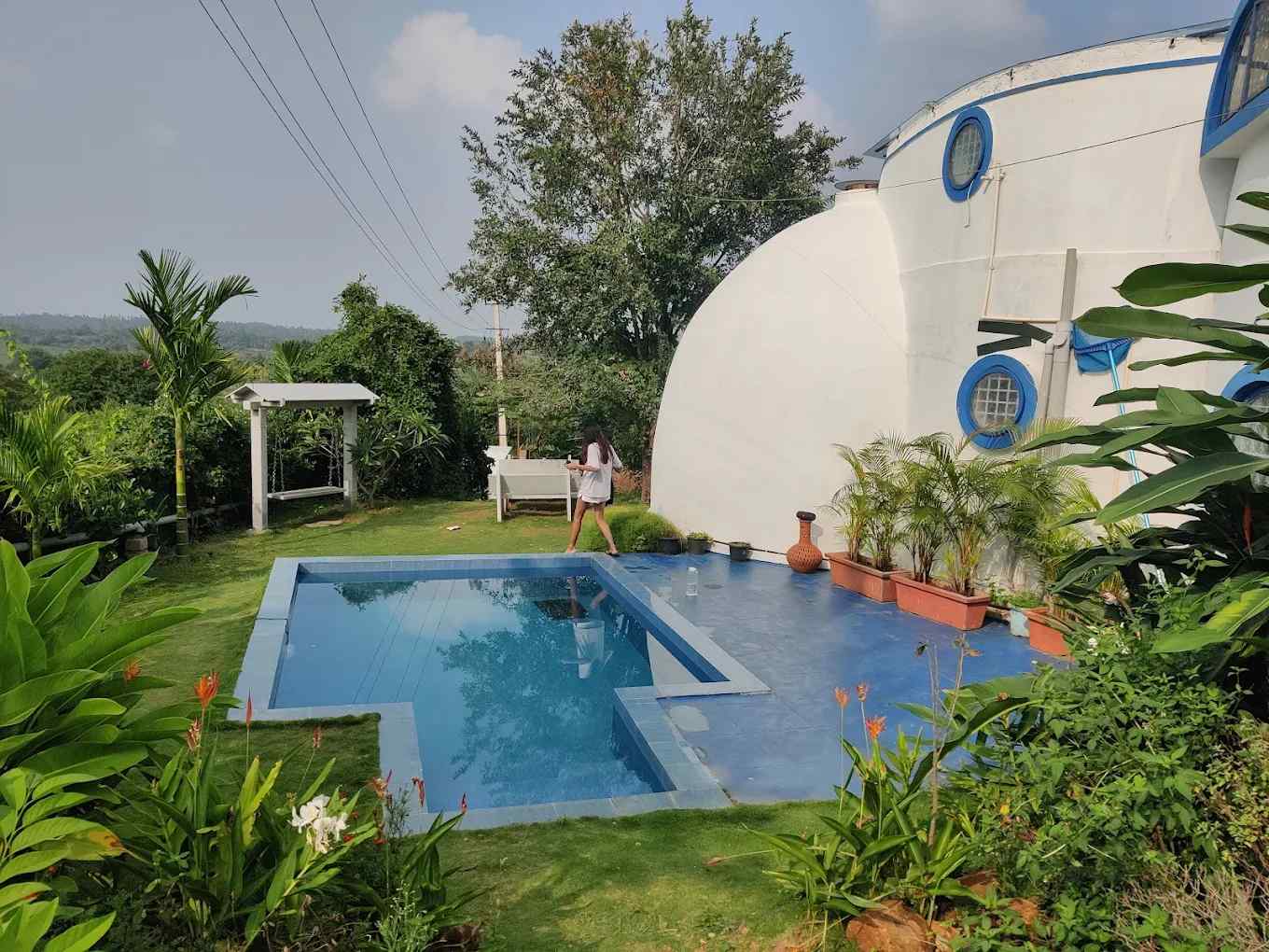 Dome Nest-image-2
