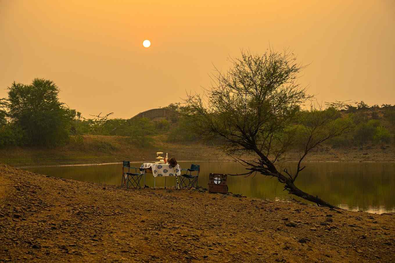 Mount Forest Sariska-image-2