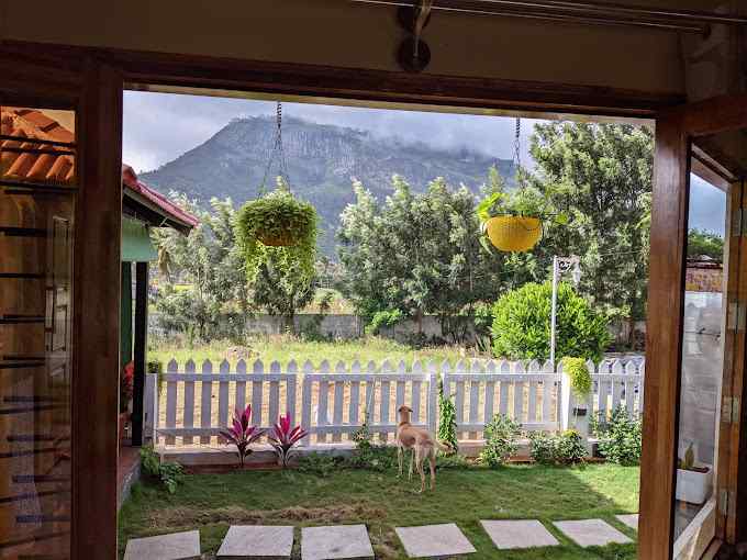 Mist & Mountain Villa-image-2