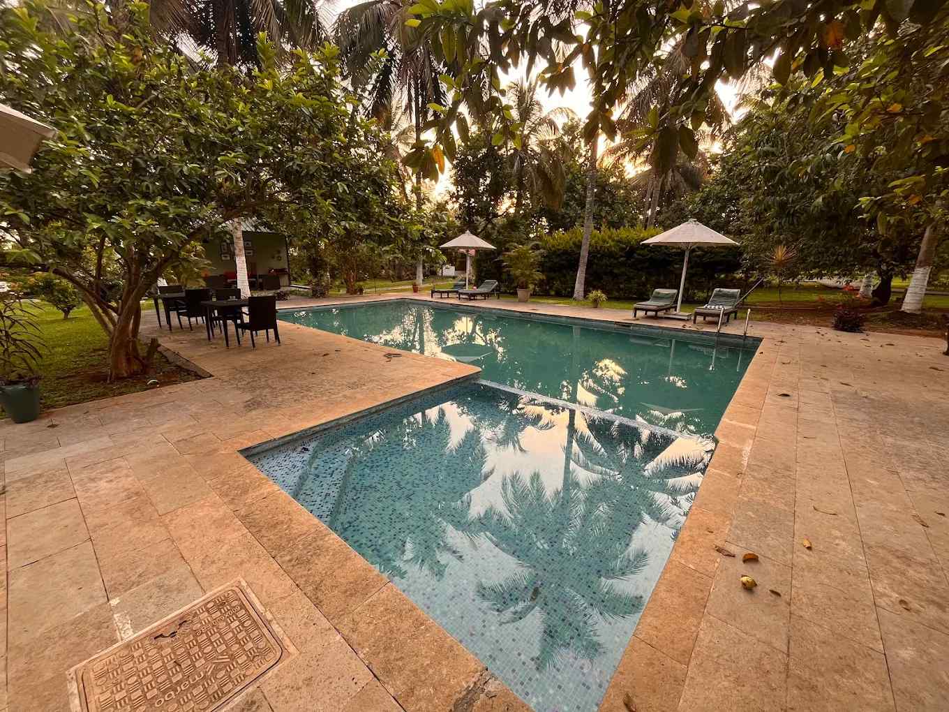 Forest Luxury Escape-image-2