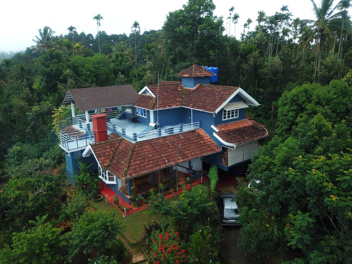 Blue House Estate-image-1