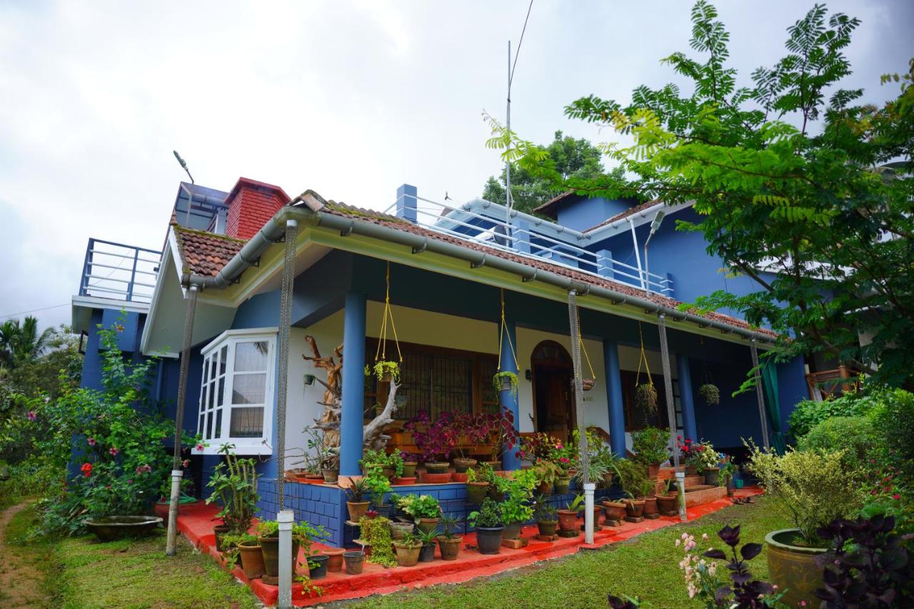 Blue House Estate-image-3