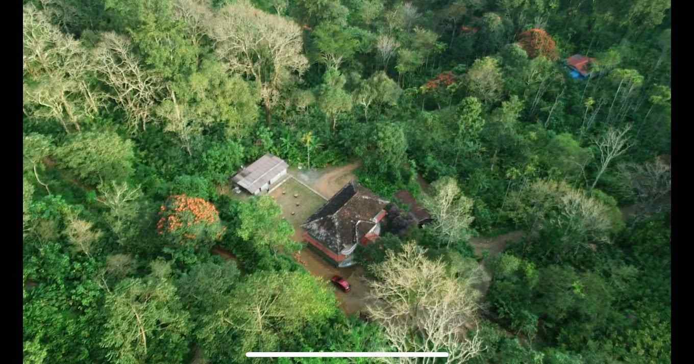 The Wildernook-image-1