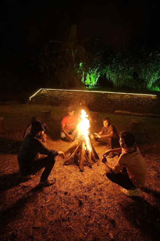 The Wildernook-image-2
