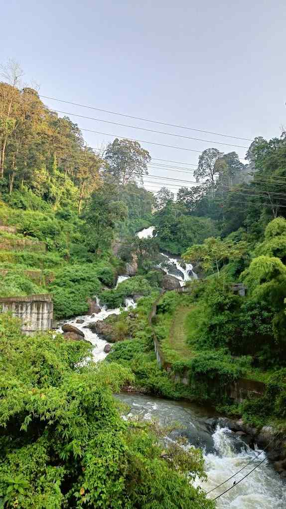 The Wildernook-image-3