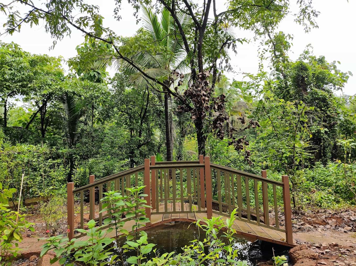Forest Whisper Homestay-image-2