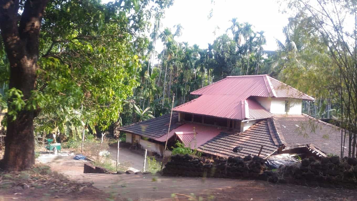 Forest Whisper Homestay-image-3
