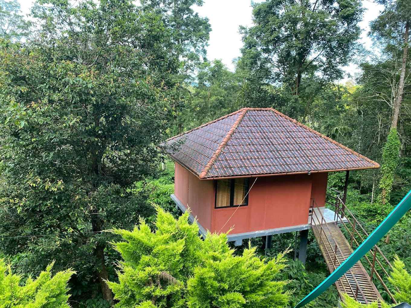 Wild Forest Cabin-video-large